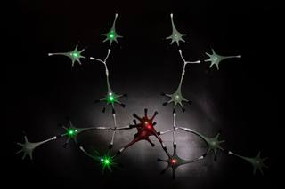 Physical neuron network in low light